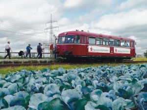 Rollendes Denkmal Mainschleifenbahn: Die Fahrt  beginnt in unmittelbarer Nachbarschaft von Gemüseäckern.