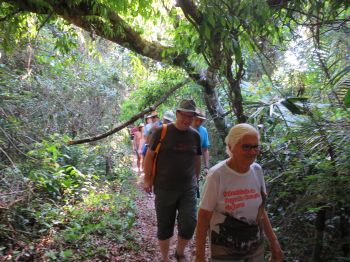 Auf dem Weg vom Wohnhaus der künftigen Weltwärtsfreiwilligen Ivana zur nächsten Gemeinde Açai führt ein Pfad durch den Dschungel; Schwester Johannita Sell geht voraus.