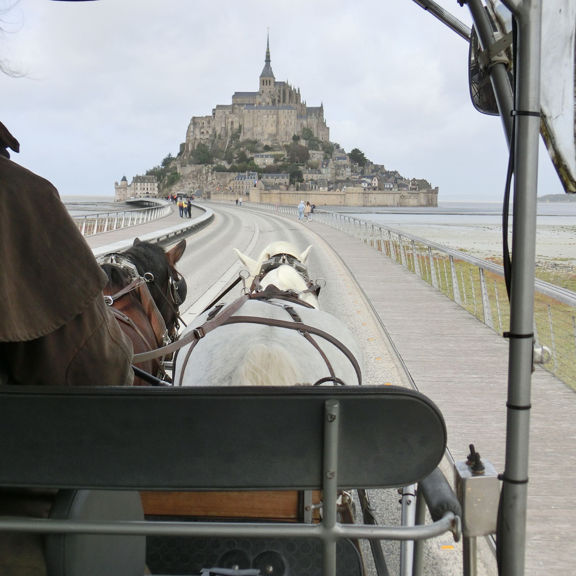 Gemächlichen Schritts ziehen der Schimmel Cesar und sein Kumpel die Kutsche mit den Besuchern über die Brücke – dem beeindruckenden Mont-Saint-Michel vor der Küste Frankreichs entgegen.