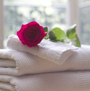 Rose auf Handtüchern