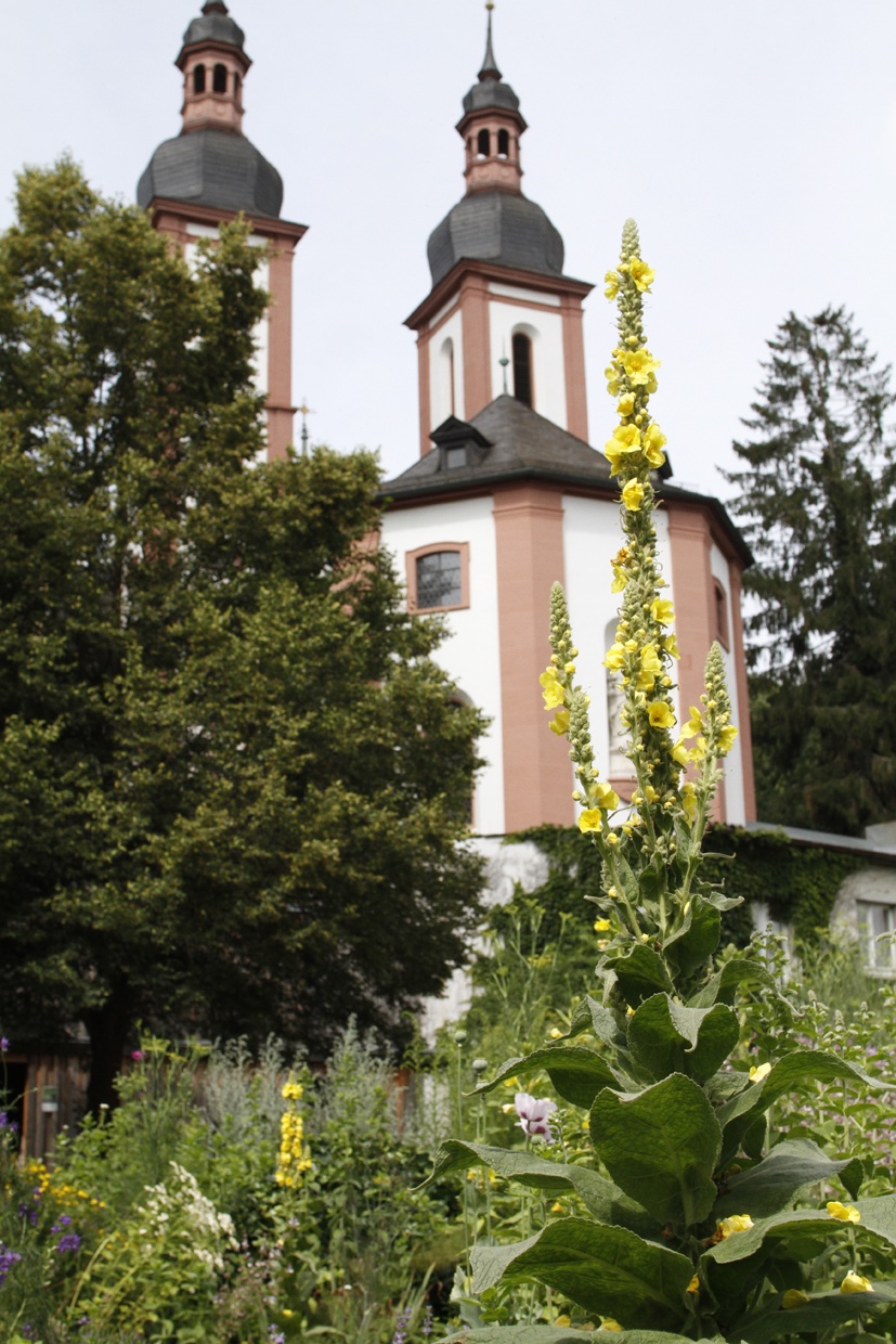 Klostergarten in Oberzell