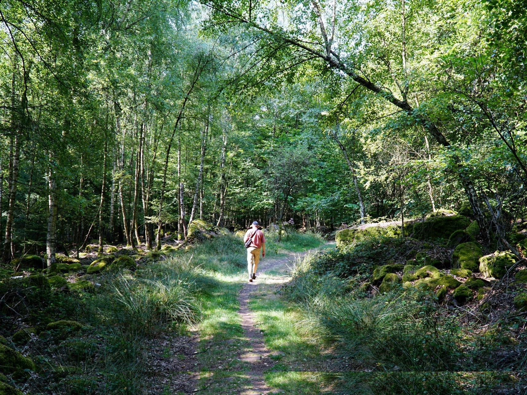 Der Natur ist man auf dem Eselsweg im Spessart ganz nah.