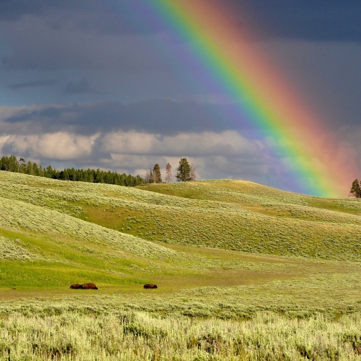 Regenbogen
