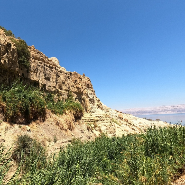 Berg