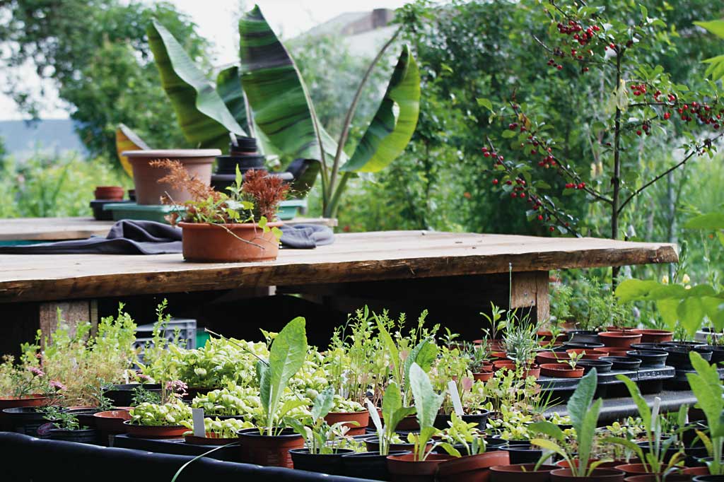 Garten Eden Würzburg / Besucheransturm Im Garten Eden Der ...